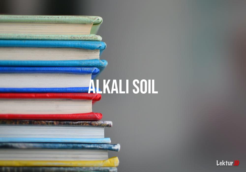 arti alkali-soil