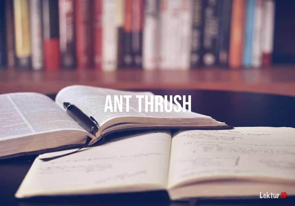 arti ant-thrush