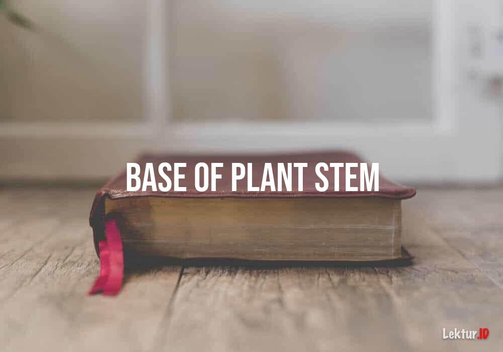 arti base-of-plant-stem