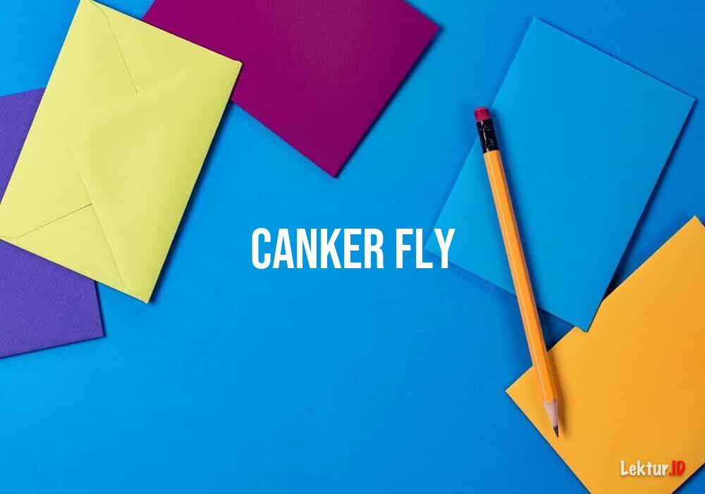 arti canker-fly