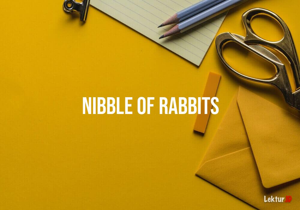 arti nibble-of-rabbits