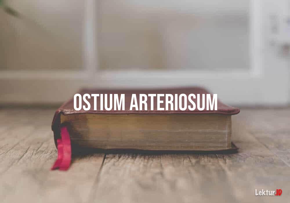 arti ostium arteriosum