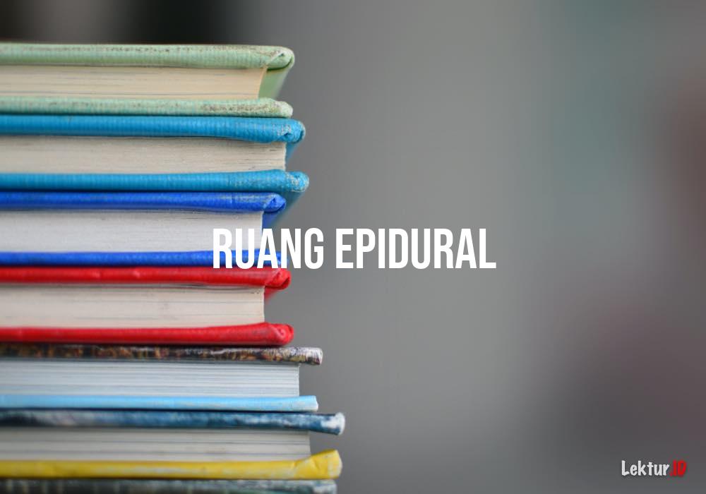 arti ruang epidural