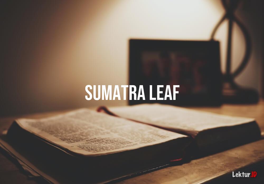 arti sumatra-leaf