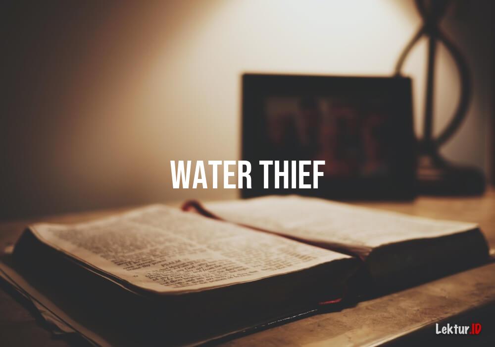 arti water-thief